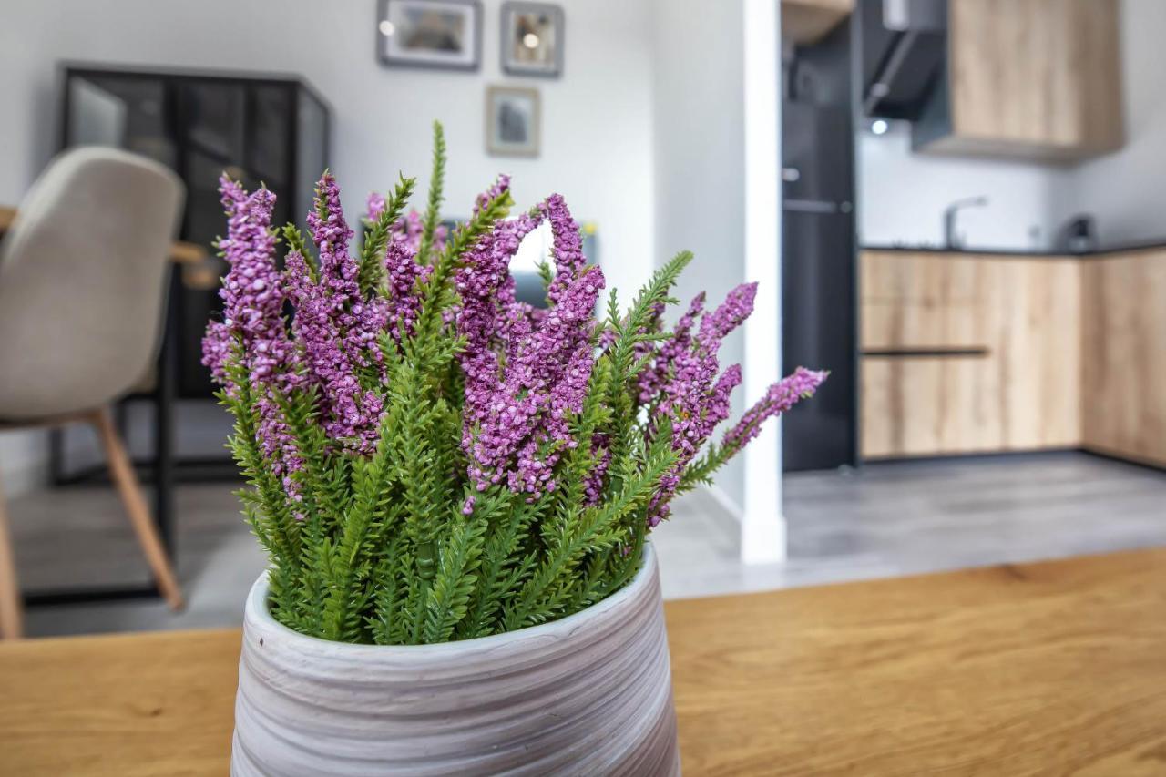 Garesc Lofts Daire Cordoba Dış mekan fotoğraf