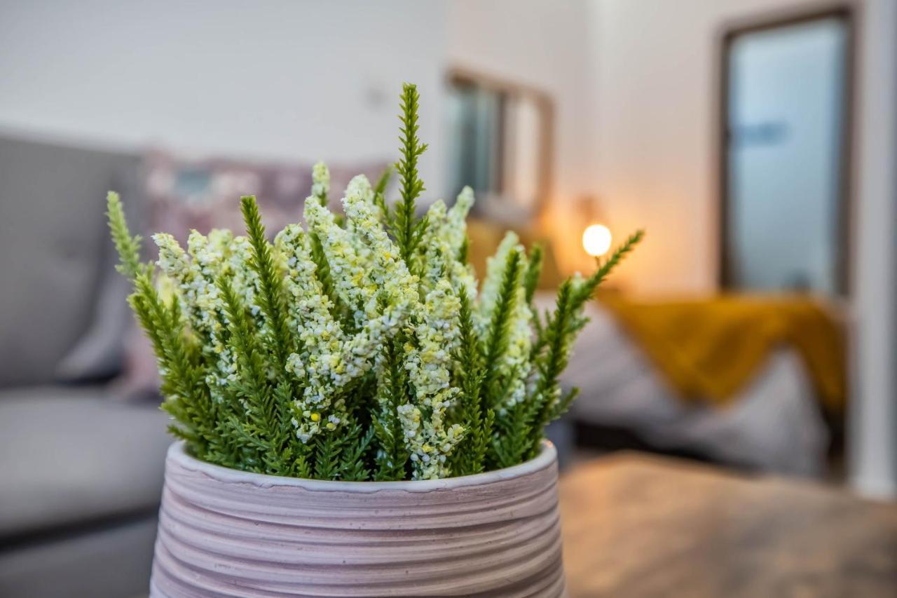 Garesc Lofts Daire Cordoba Dış mekan fotoğraf