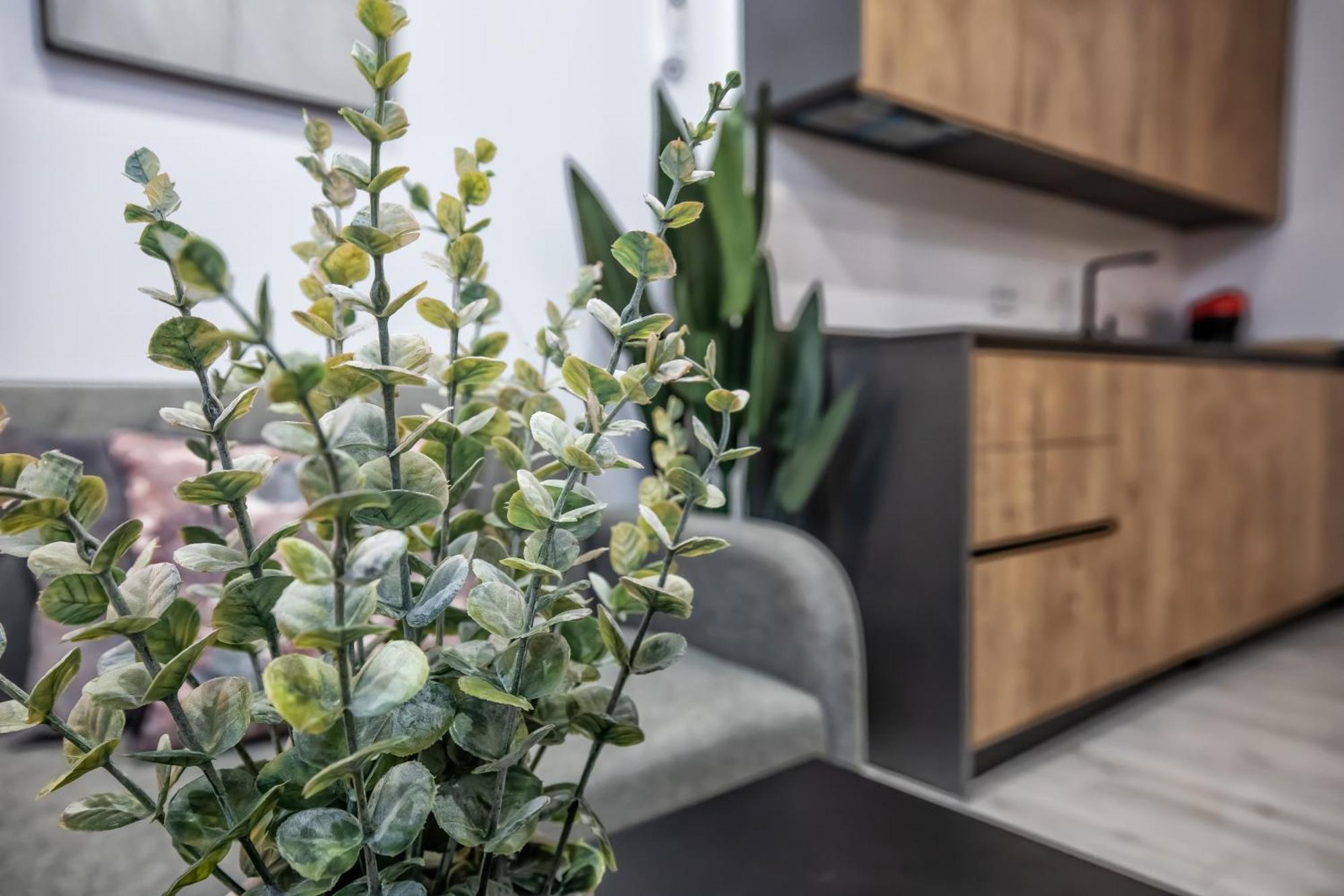 Garesc Lofts Daire Cordoba Dış mekan fotoğraf